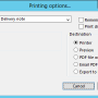 remote_access_print_options_01.png